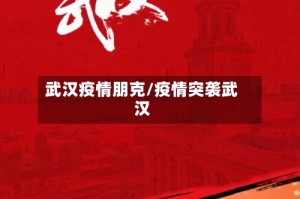 武汉疫情朋克/疫情突袭武汉