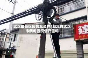 武汉市蔡区疫情怎么样/湖北省武汉市蔡甸区疫情严重吗