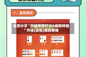 实测分享“开挂哥哥打大A辅助神器”开挂(透视)辅助教程