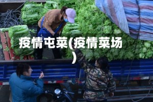 疫情屯菜(疫情菜场)