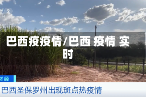 巴西疫疫情/巴西 疫情 实时