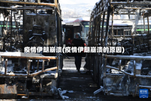 疫情伊朗崩溃(疫情伊朗崩溃的原因)