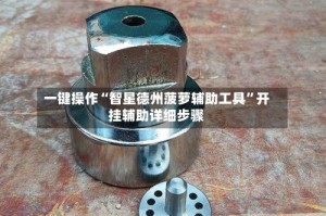 一键操作“智星德州菠萝辅助工具”开挂辅助详细步骤