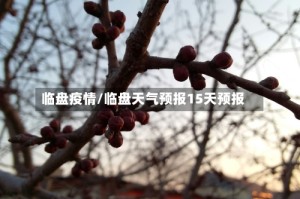 临盘疫情/临盘天气预报15天预报