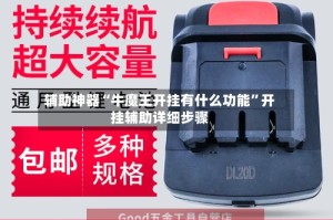 辅助神器“牛魔王开挂有什么功能”开挂辅助详细步骤