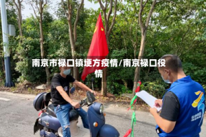南京市禄口镇埂方疫情/南京禄口役情