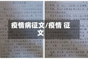 疫情病征文/疫情 征文