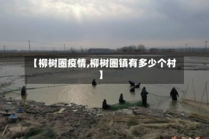 【柳树圈疫情,柳树圈镇有多少个村】