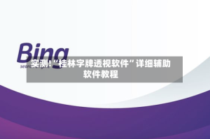 实测!“桂林字牌透视软件”详细辅助软件教程