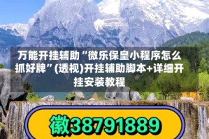 万能开挂辅助“微乐保皇小程序怎么抓好牌”(透视)开挂辅助脚本+详细开挂安装教程