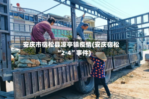 安庆市宿松县凉亭镇疫情(安庆宿松“2·4”事件)
