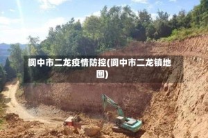 阆中市二龙疫情防控(阆中市二龙镇地图)
