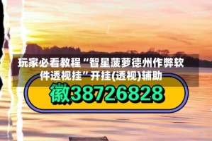 玩家必看教程“智星菠萝德州作弊软件透视挂”开挂(透视)辅助