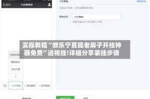 实操教程“微乐宁夏捉老麻子开挂神器免费”透视挂!详细分享装挂步骤