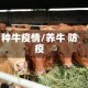 种牛疫情/养牛 防疫