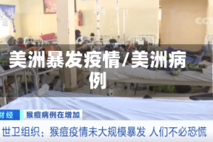 美洲暴发疫情/美洲病例
