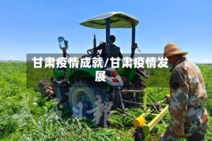 甘肃疫情成就/甘肃疫情发展