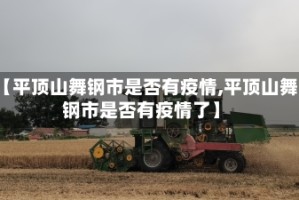 【平顶山舞钢市是否有疫情,平顶山舞钢市是否有疫情了】