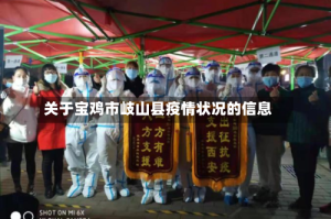 关于宝鸡市岐山县疫情状况的信息