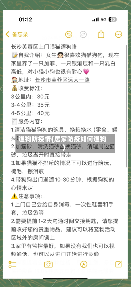 遛狗防疫情(居家防疫如何遛狗)-第2张图片