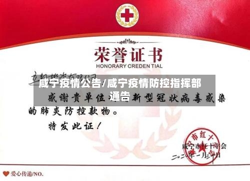 咸宁疫情公告/咸宁疫情防控指挥部通告-第2张图片