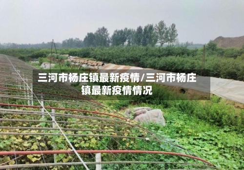 三河市杨庄镇最新疫情/三河市杨庄镇最新疫情情况-第3张图片