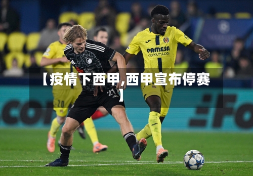【疫情下西甲,西甲宣布停赛】-第3张图片