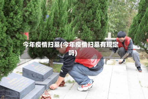 今年疫情扫墓(今年疫情扫墓有规定吗)-第2张图片
