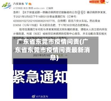 广东省东莞市疫情问责(广东省东莞市疫情问责最新消息)-第1张图片