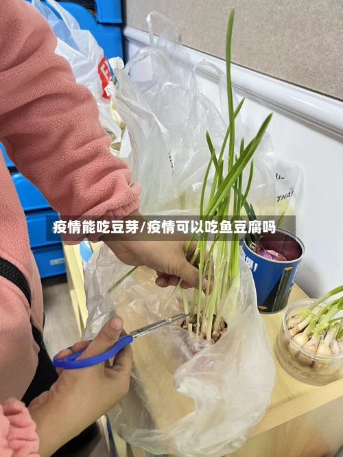 疫情能吃豆芽/疫情可以吃鱼豆腐吗-第2张图片
