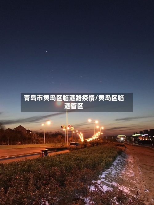 青岛市黄岛区临港路疫情/黄岛区临港管区-第2张图片