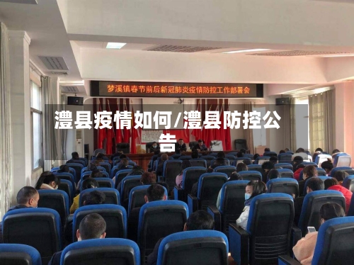 澧县疫情如何/澧县防控公告-第1张图片