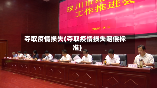 夺取疫情损失(夺取疫情损失赔偿标准)-第1张图片