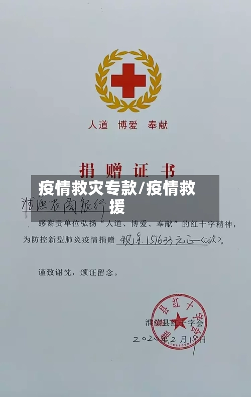 疫情救灾专款/疫情救援-第2张图片