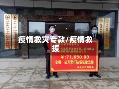 疫情救灾专款/疫情救援-第3张图片
