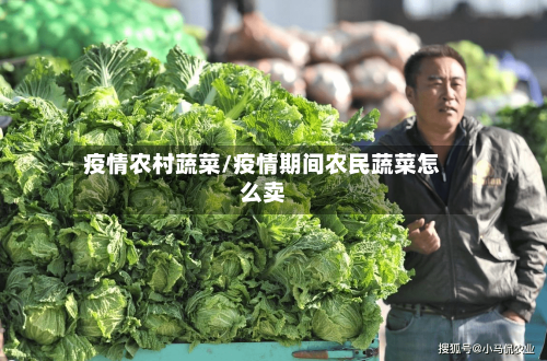 疫情农村蔬菜/疫情期间农民蔬菜怎么卖-第2张图片