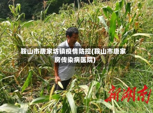 鞍山市唐家坊镇疫情防控(鞍山市唐家房传染病医院)-第2张图片