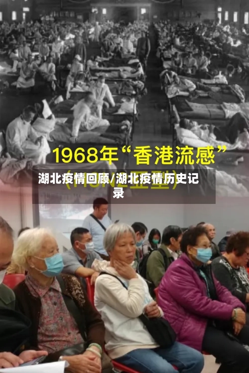 湖北疫情回顾/湖北疫情历史记录-第1张图片
