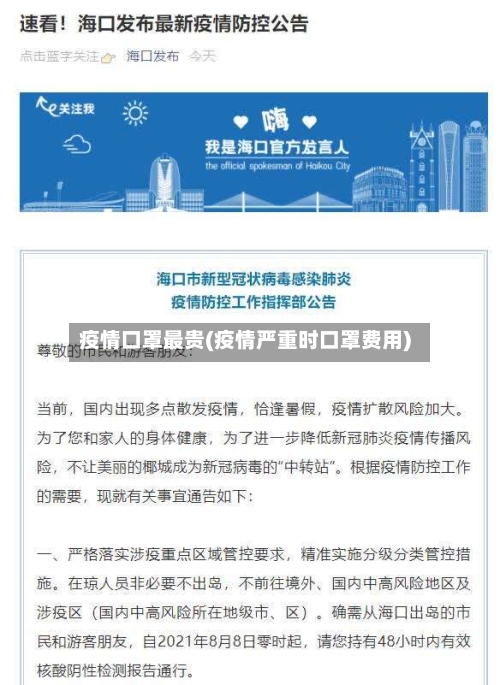 疫情口罩最贵(疫情严重时口罩费用)-第2张图片