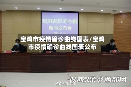 宝鸡市疫情确诊曲线图表/宝鸡市疫情确诊曲线图表公布-第2张图片