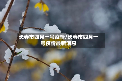 长春市四月一号疫情/长春市四月一号疫情最新消息-第2张图片