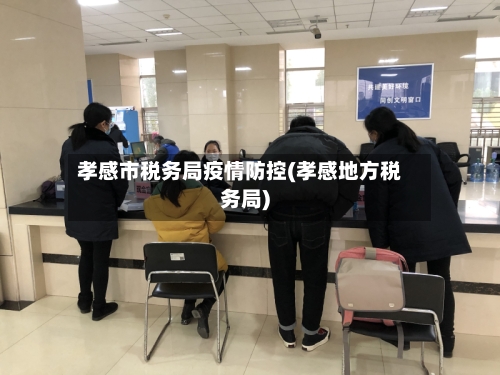 孝感市税务局疫情防控(孝感地方税务局)-第2张图片