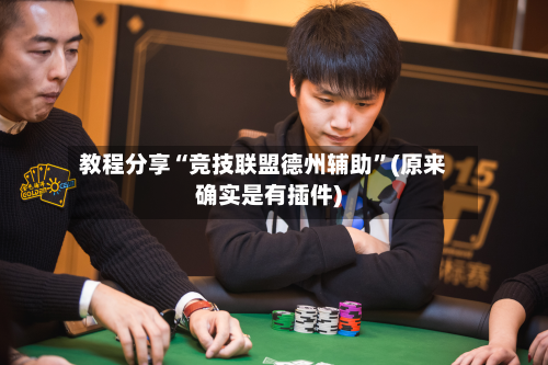 教程分享“竞技联盟德州辅助	”(原来确实是有插件)-第2张图片