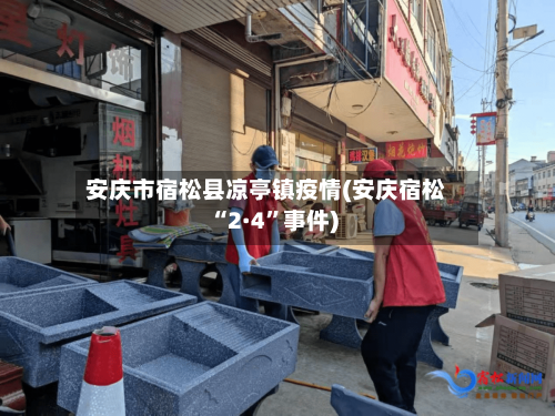 安庆市宿松县凉亭镇疫情(安庆宿松“2·4	”事件)-第2张图片