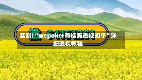 实测!“wepoker有挂吗透视知乎”详细透视教程-第1张图片