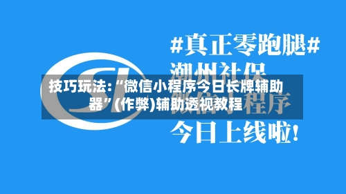 技巧玩法:“微信小程序今日长牌辅助器”(作弊)辅助透视教程-第3张图片