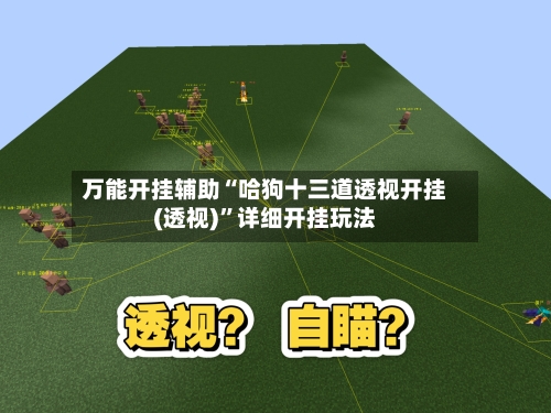 万能开挂辅助“哈狗十三道透视开挂(透视)”详细开挂玩法-第3张图片