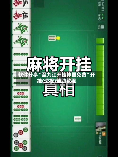 软件分享“至九江开挂神器免费”开挂(透视)辅助教程-第3张图片