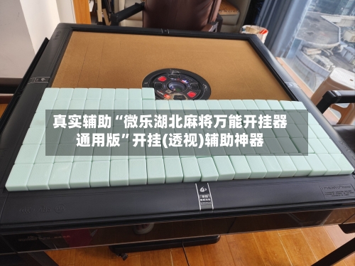 真实辅助“微乐湖北麻将万能开挂器通用版”开挂(透视)辅助神器-第3张图片