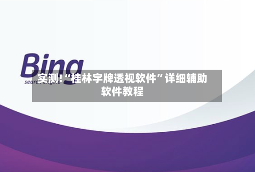 实测!“桂林字牌透视软件”详细辅助软件教程-第2张图片